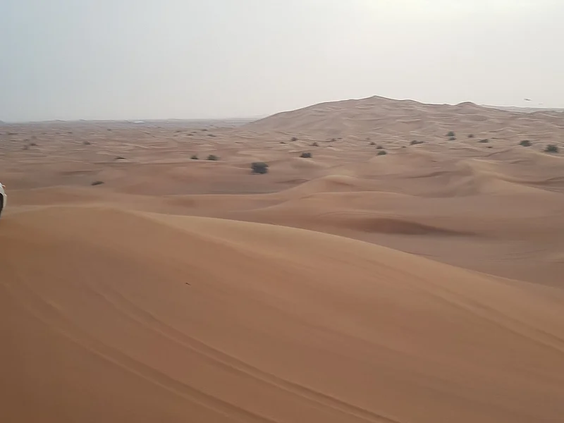 Dubai highlight view 4 - Arabian Desert