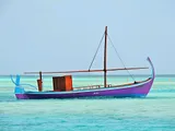 Wooden Dhoni Boat