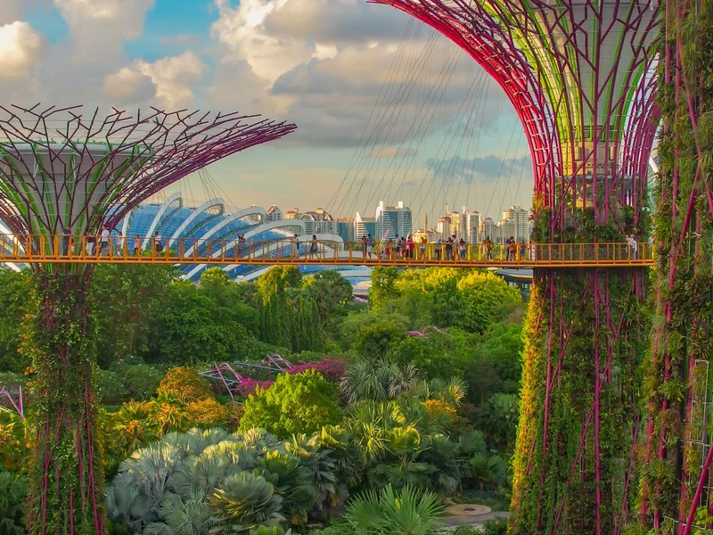 Singapore highlight view 2 - Supertree Grove